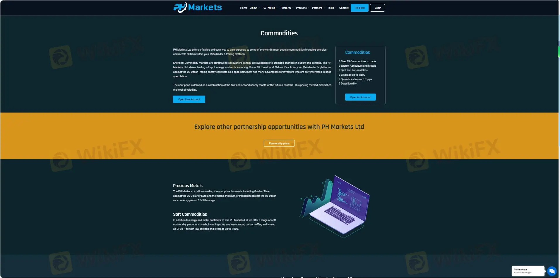 السلع السلع