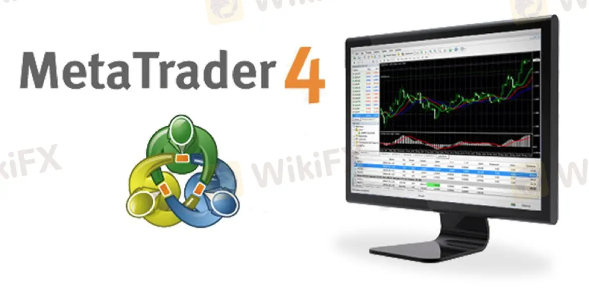 Platform Trading Platform Trading