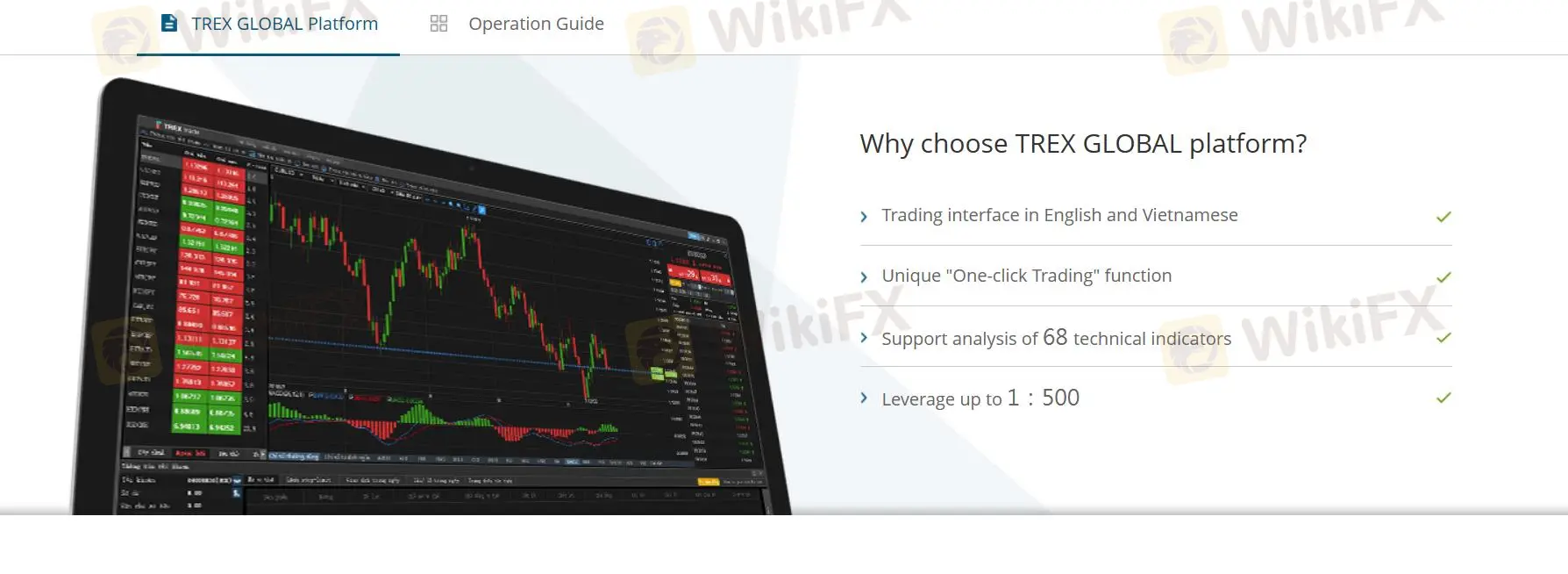 TREX GLOBAL TREX GLOBAL
