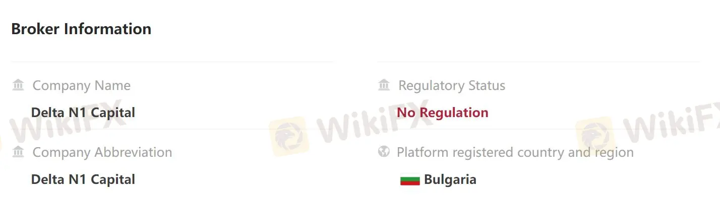 Delta N1 Capital tổng quan Delta N1 Capital tổng quan