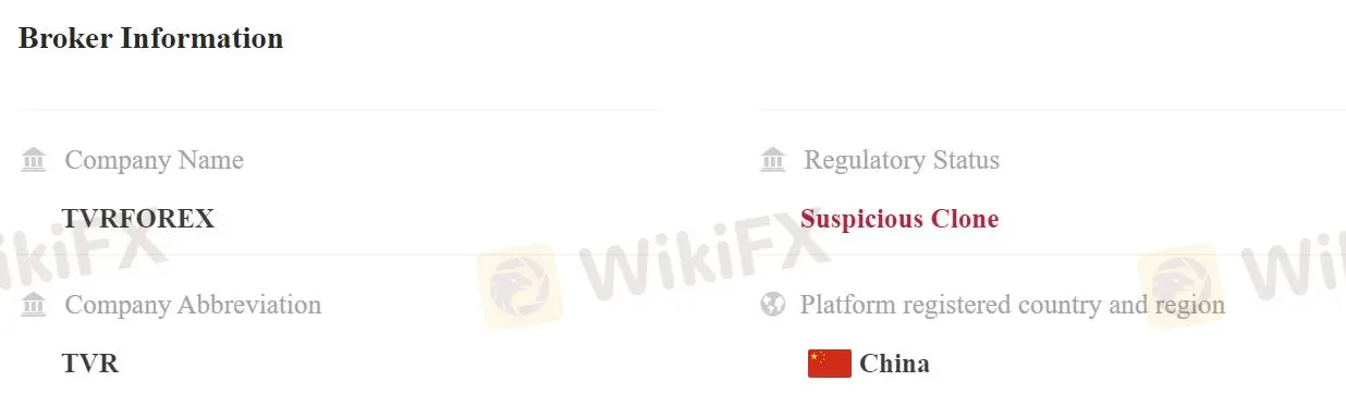 什么是特维尔？