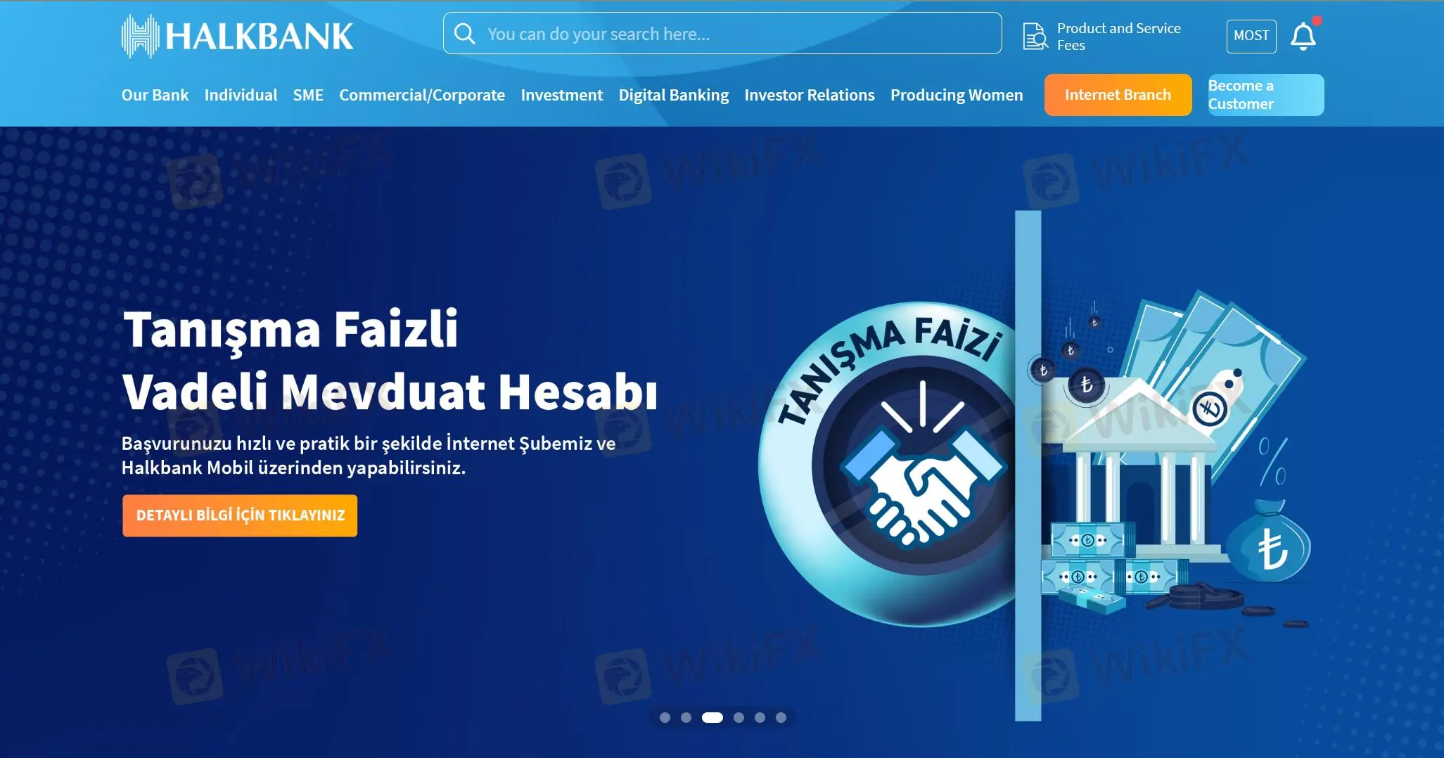 Overview of Halkbank