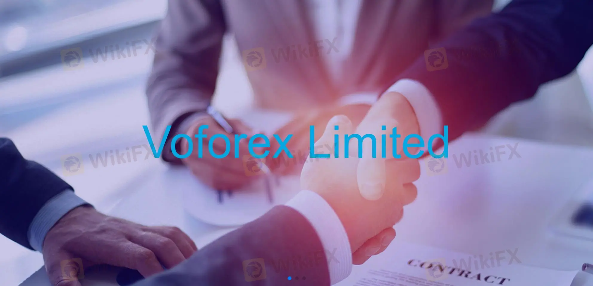 Voforex Limitedの概要