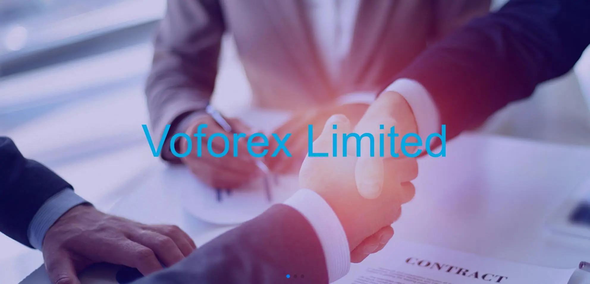 Resumen de Voforex Limited Resumen de Voforex Limited