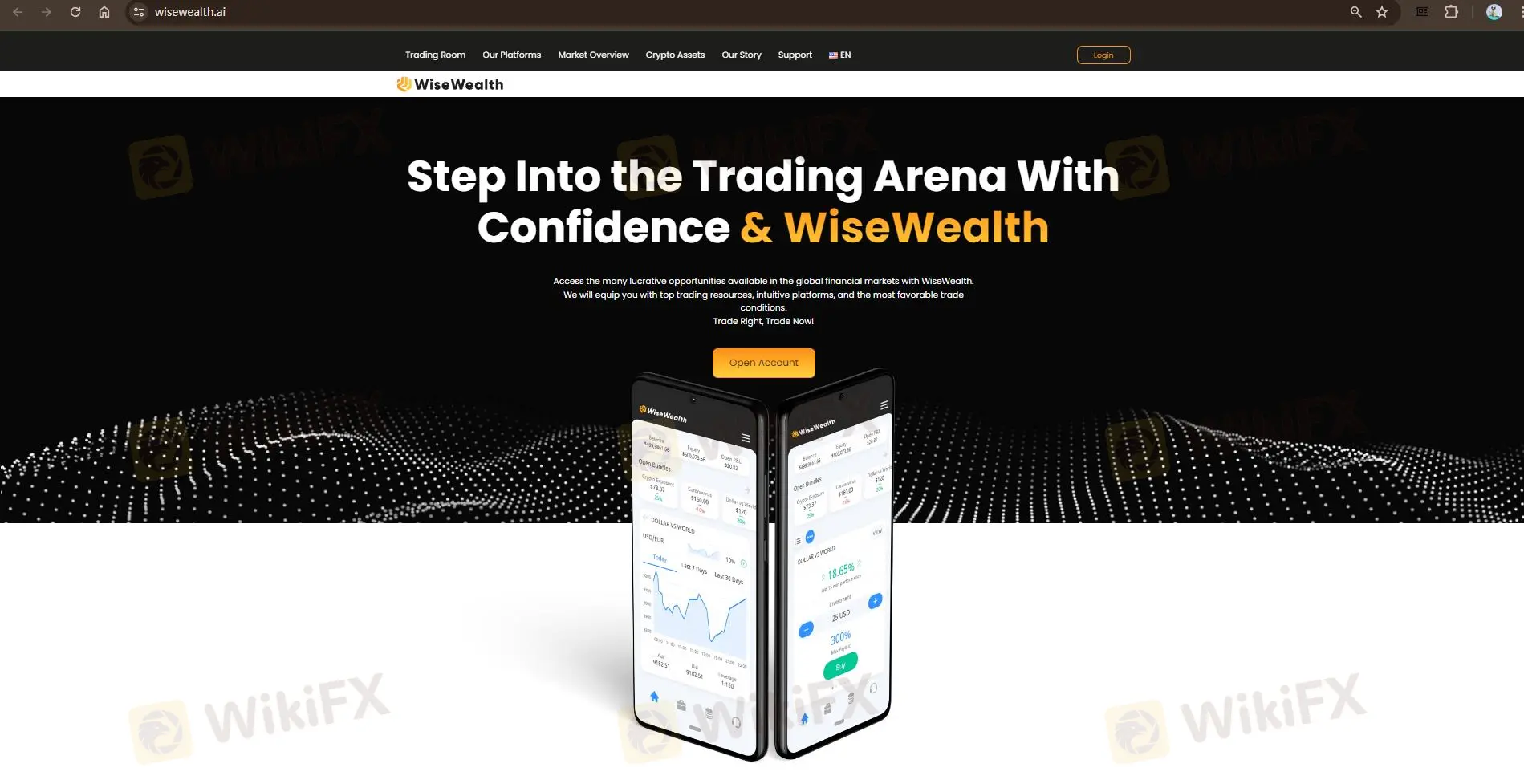 WiseWealth's homepage