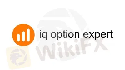 iq option expert