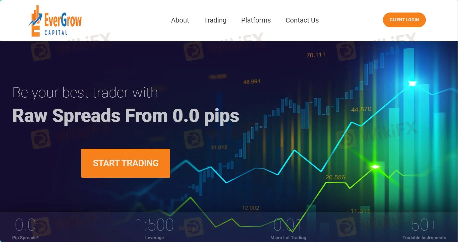 Evergrow Capital LTD's homepage