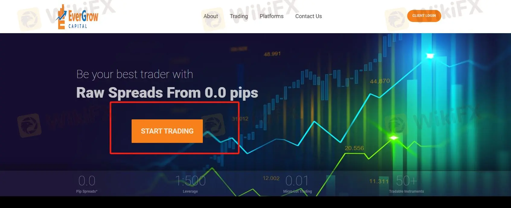 Click the button ''GET STARTED'' 