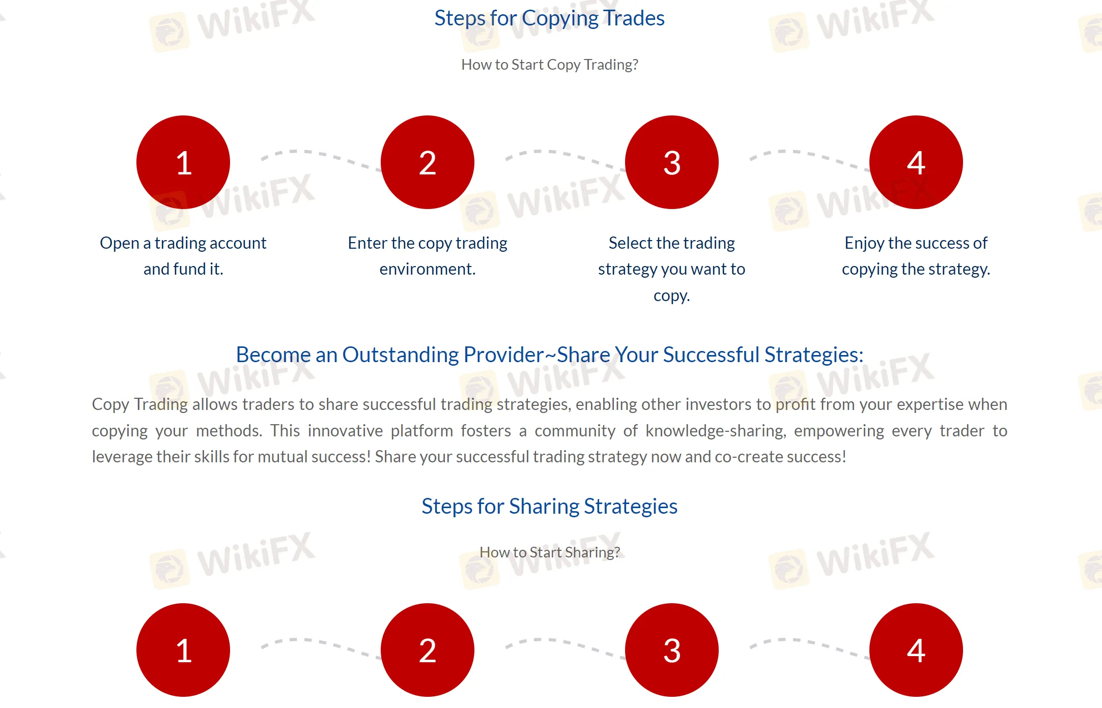 copy trading copy trading