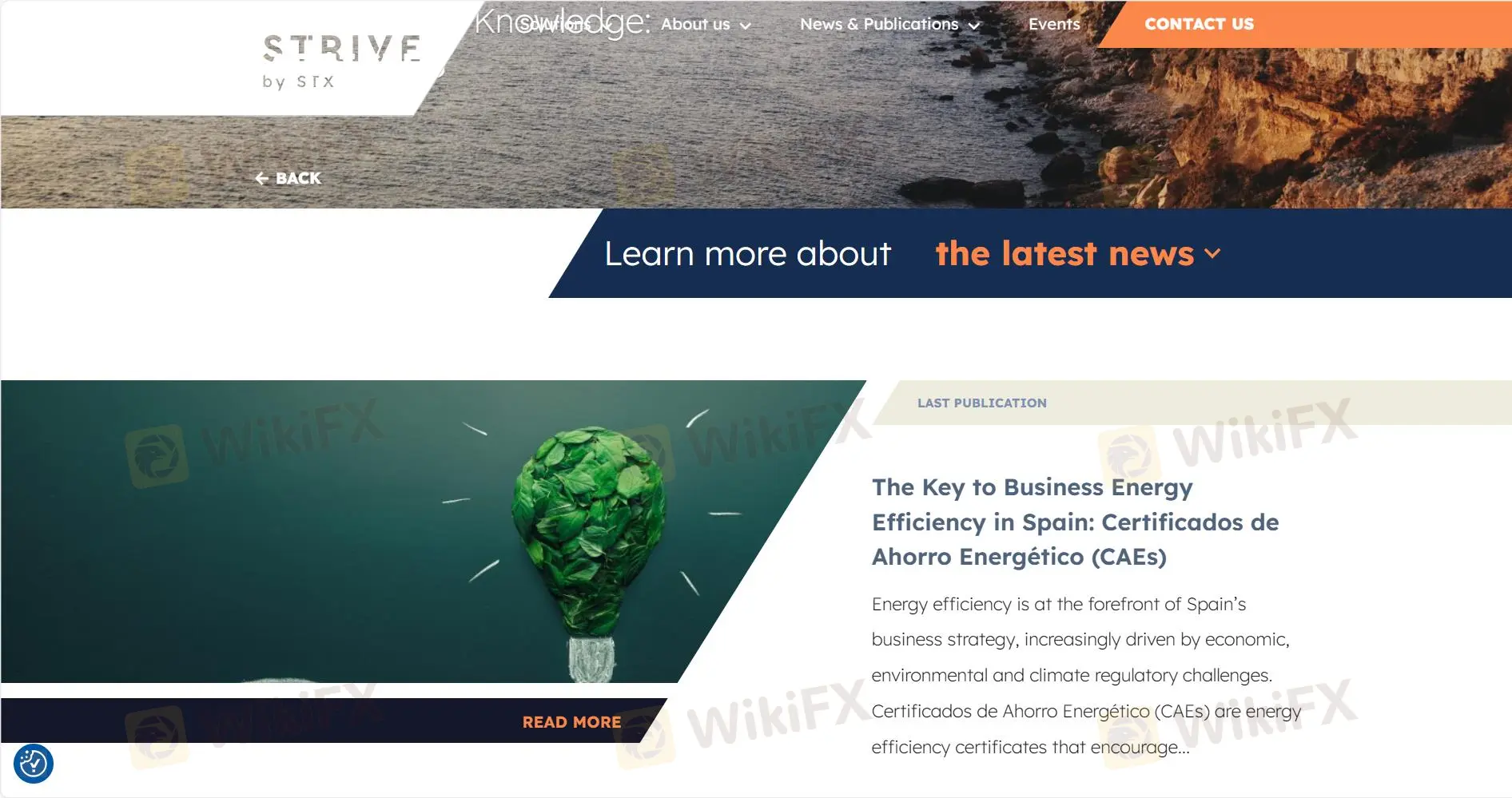 News and Publications
