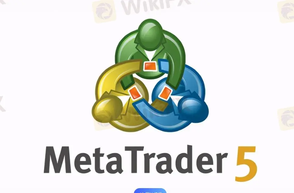 MT5