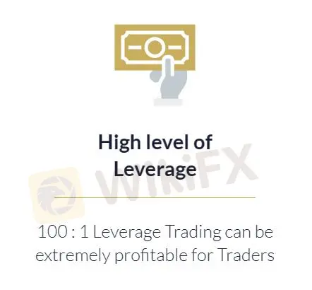 Leverage