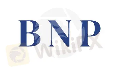 Overview of BNP