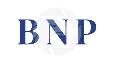 Overview of BNP Overview of BNP