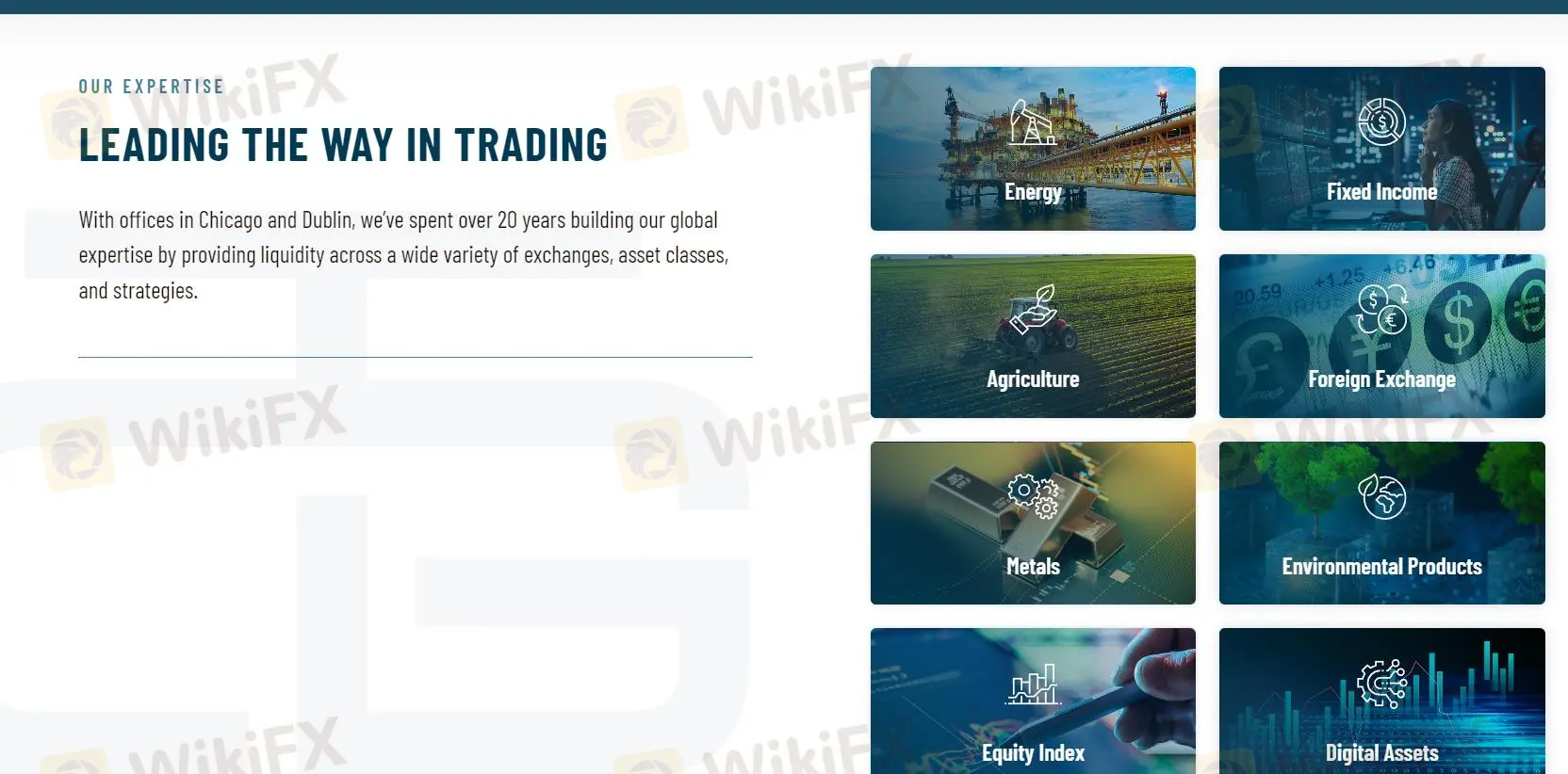 시장 기구 시장 기구