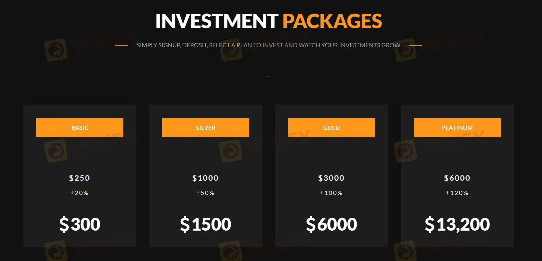 Investment Plan Investment Plan