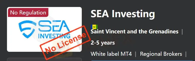 Is SEA Investing Legit?