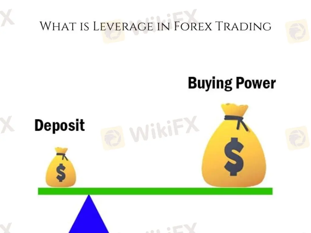 Leverage
