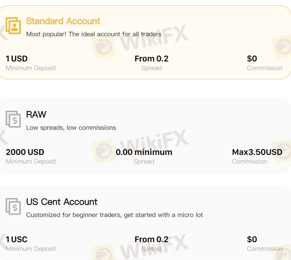 Account Types Account Types