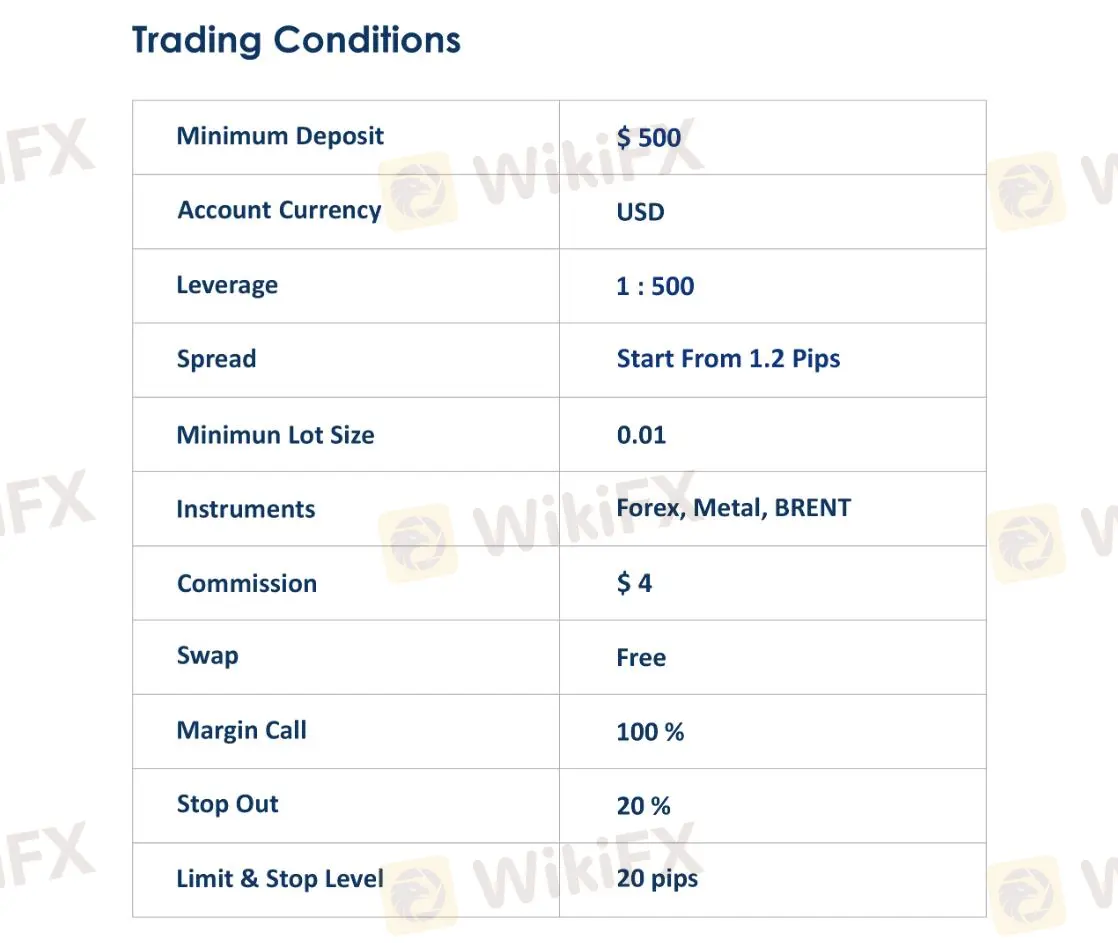 アカウントタイプ