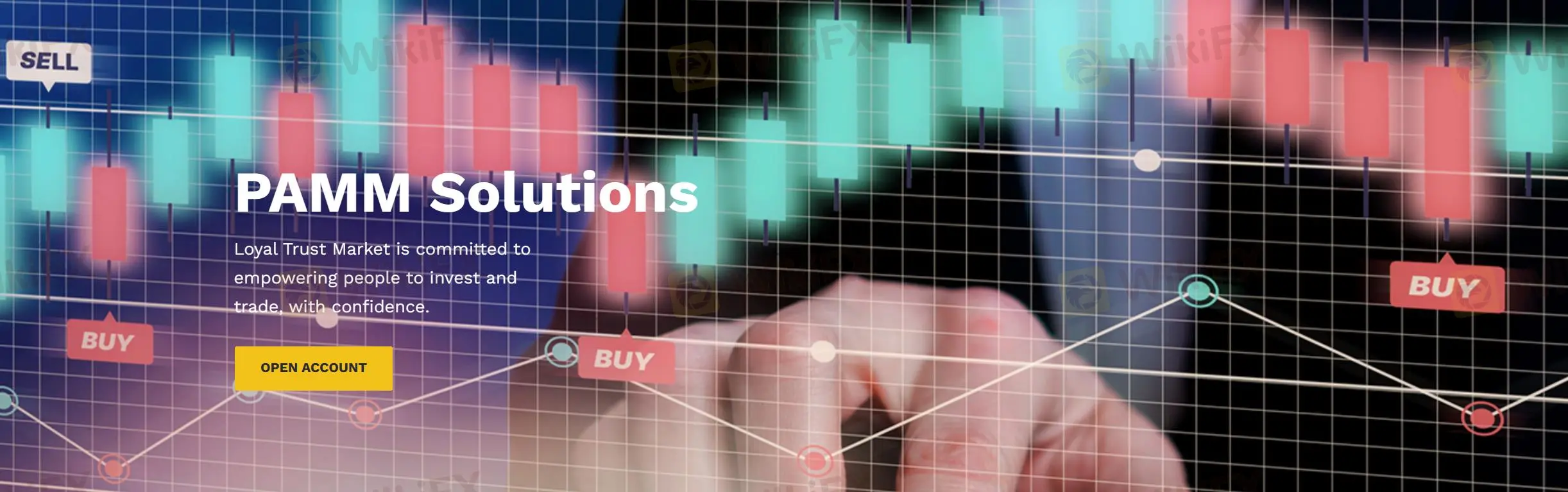 取引プラットフォームとツール