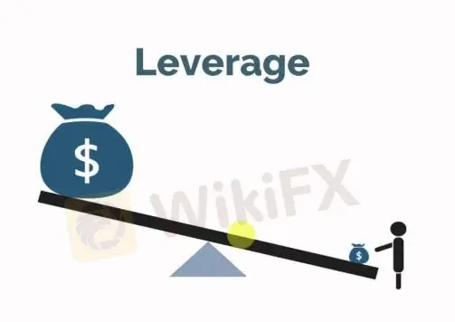 Leverage