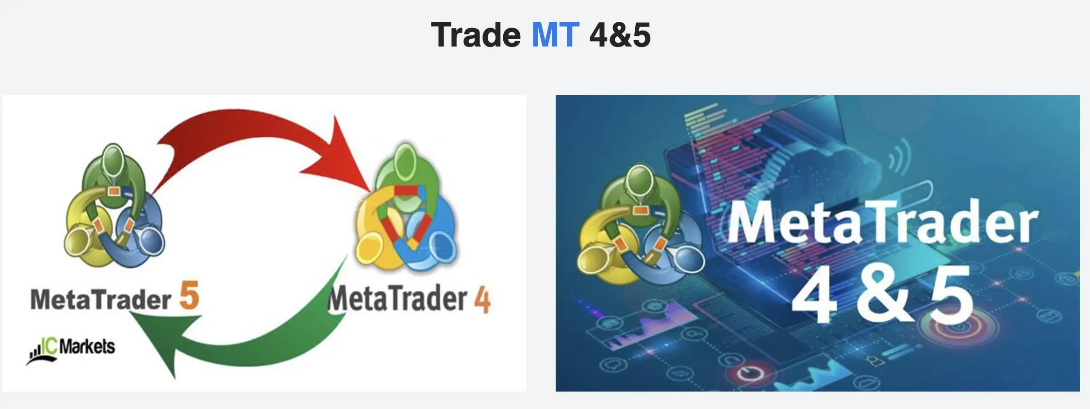 MT4/5 MT4/5