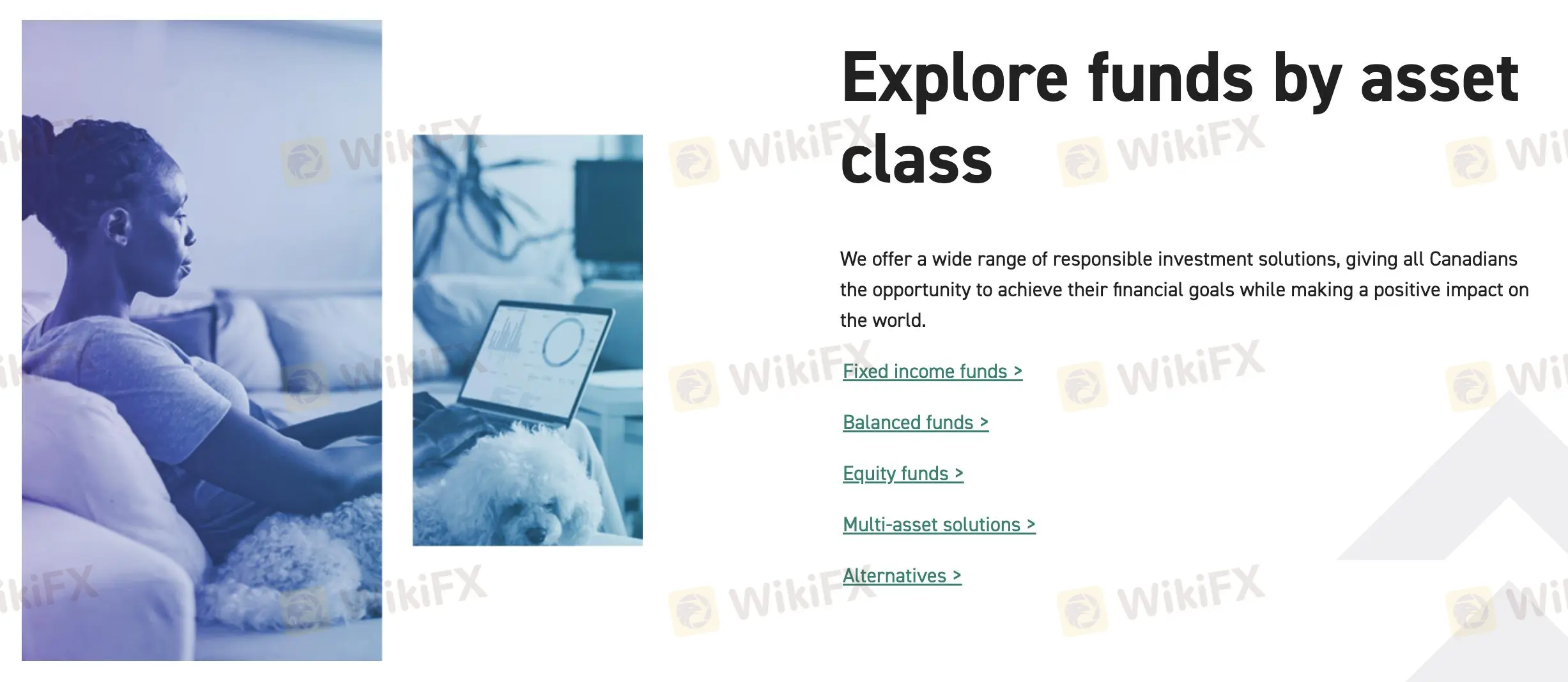 按资产类别探索基金 按资产类别探索基金