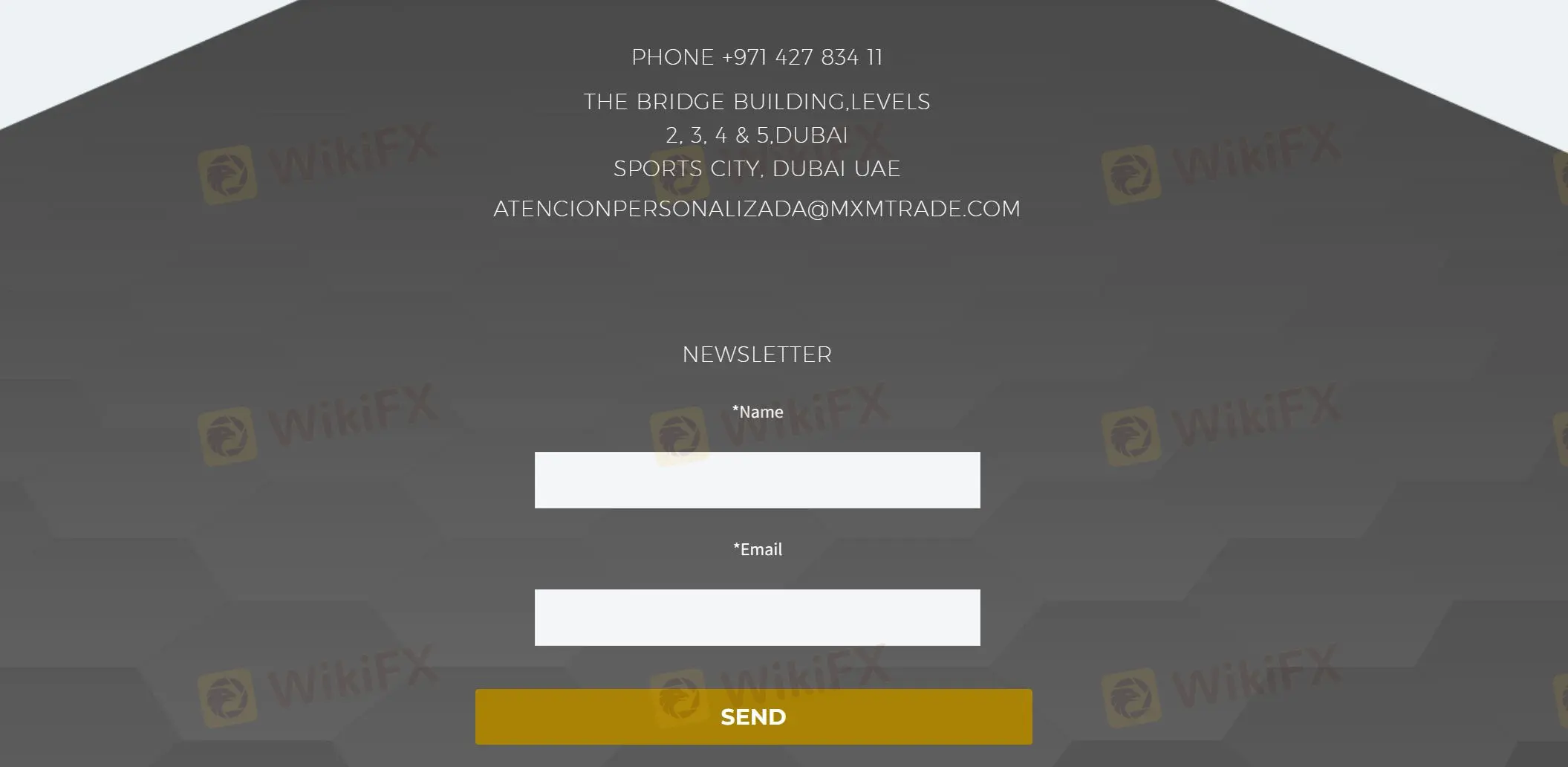 客户支持选项 客户支持选项