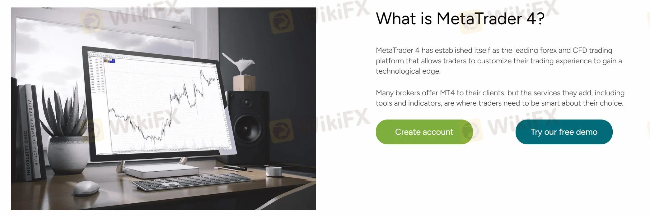 MetaTrader 4（MT4）