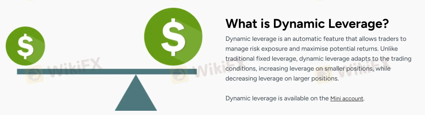Dynamic Leverage