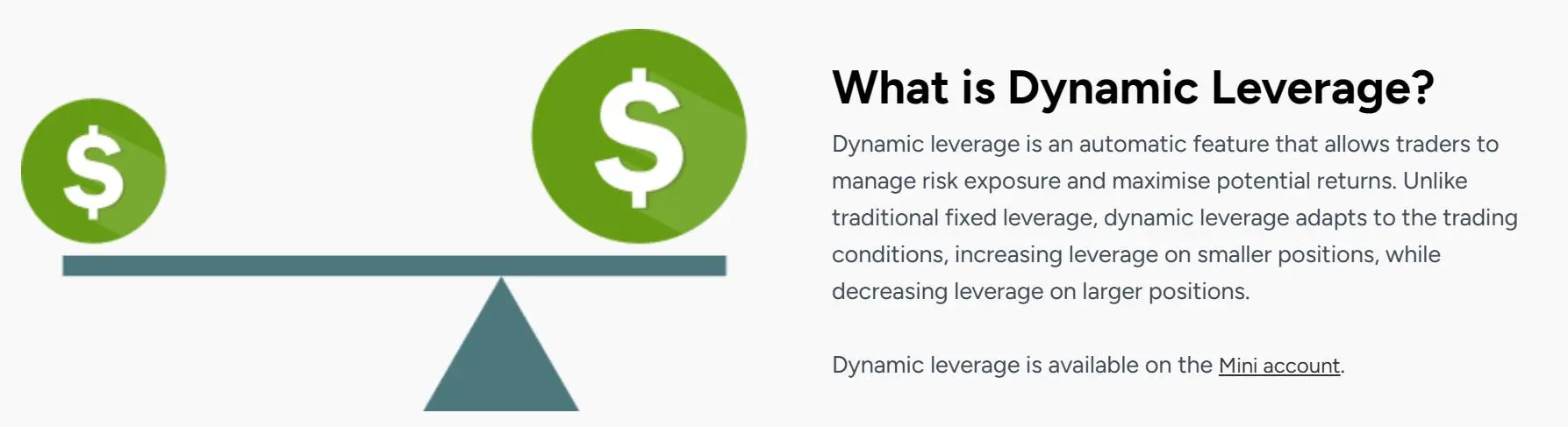 Dynamic Leverage Dynamic Leverage