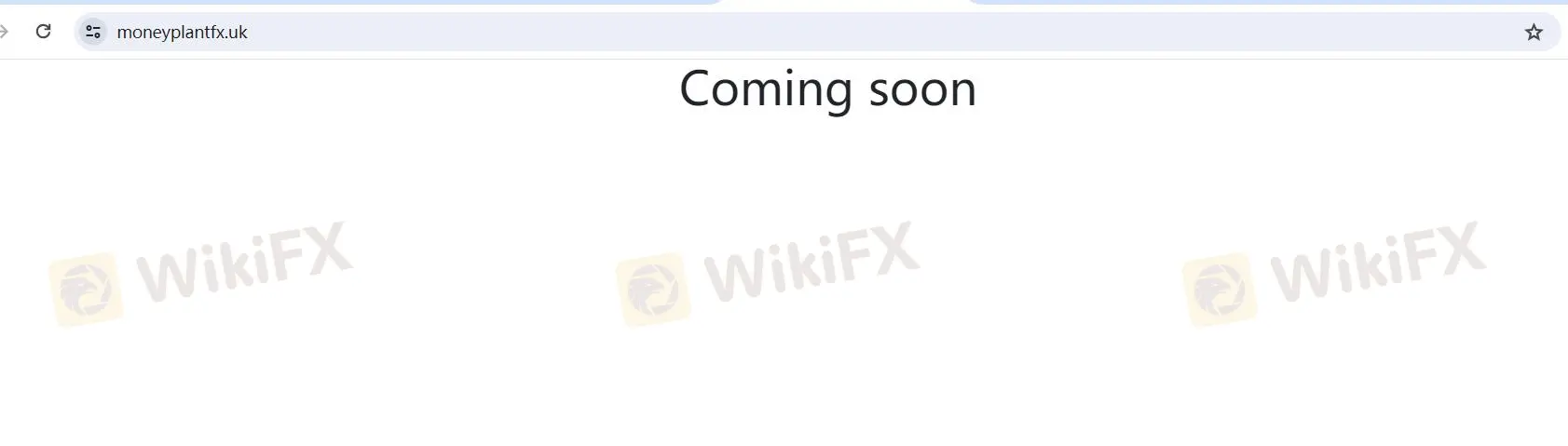 Tổng quan Tổng quan