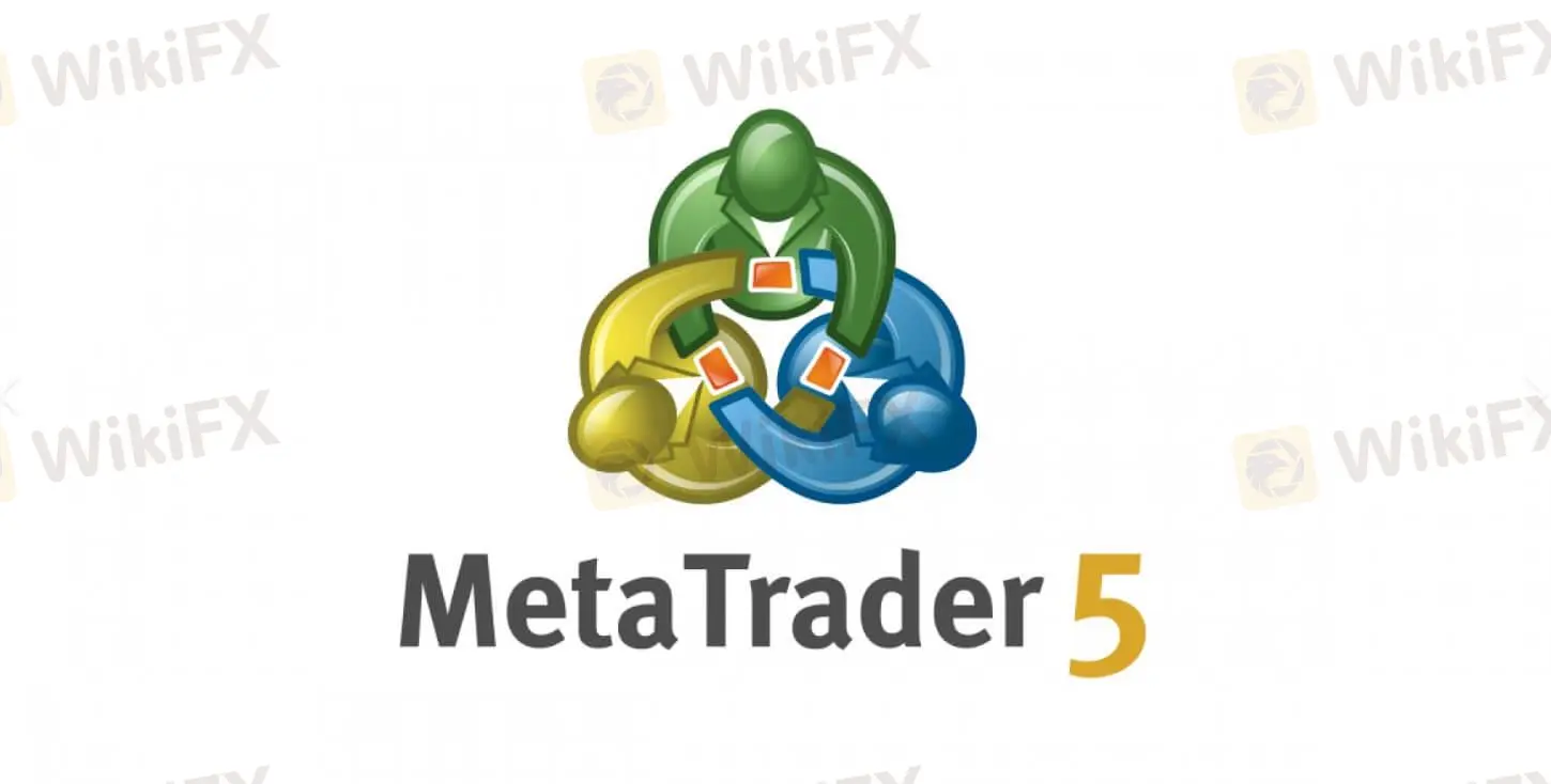 MT5