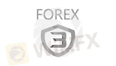 Overview of Forex3D