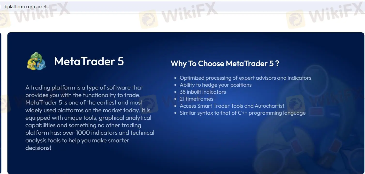 MT5 (MetaTrader 5): MT5 (MetaTrader 5):