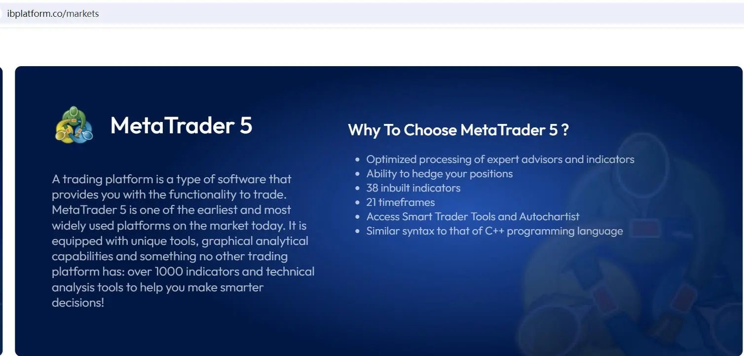 MT5 (MetaTrader 5):