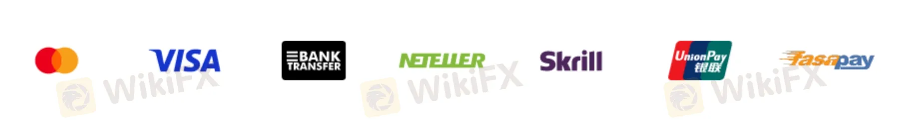 支付选项