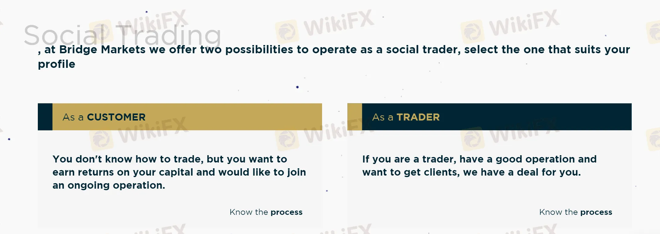 Copy Trading & Social Trading Copy Trading & Social Trading