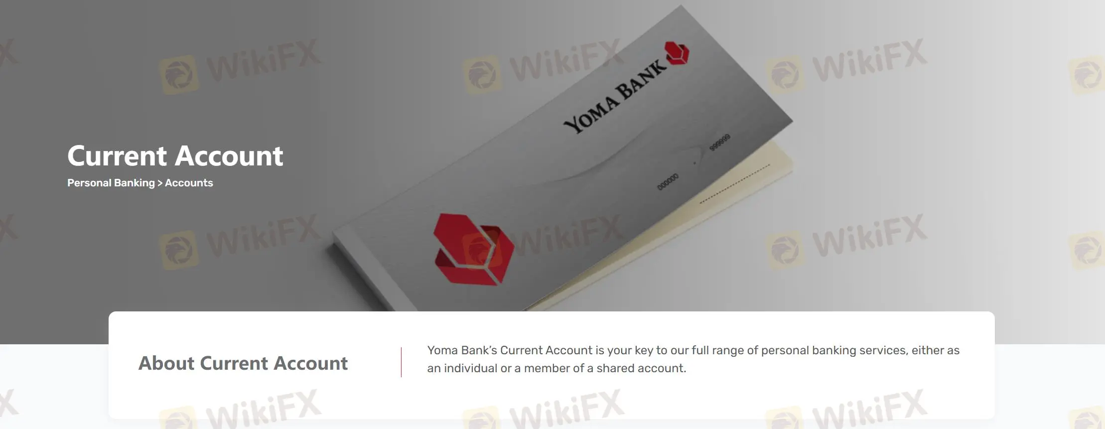 Текущие счета