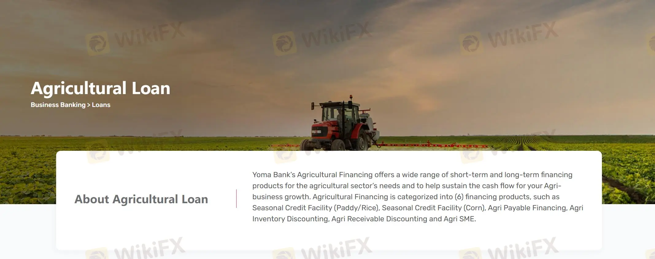 Agricultural Loan