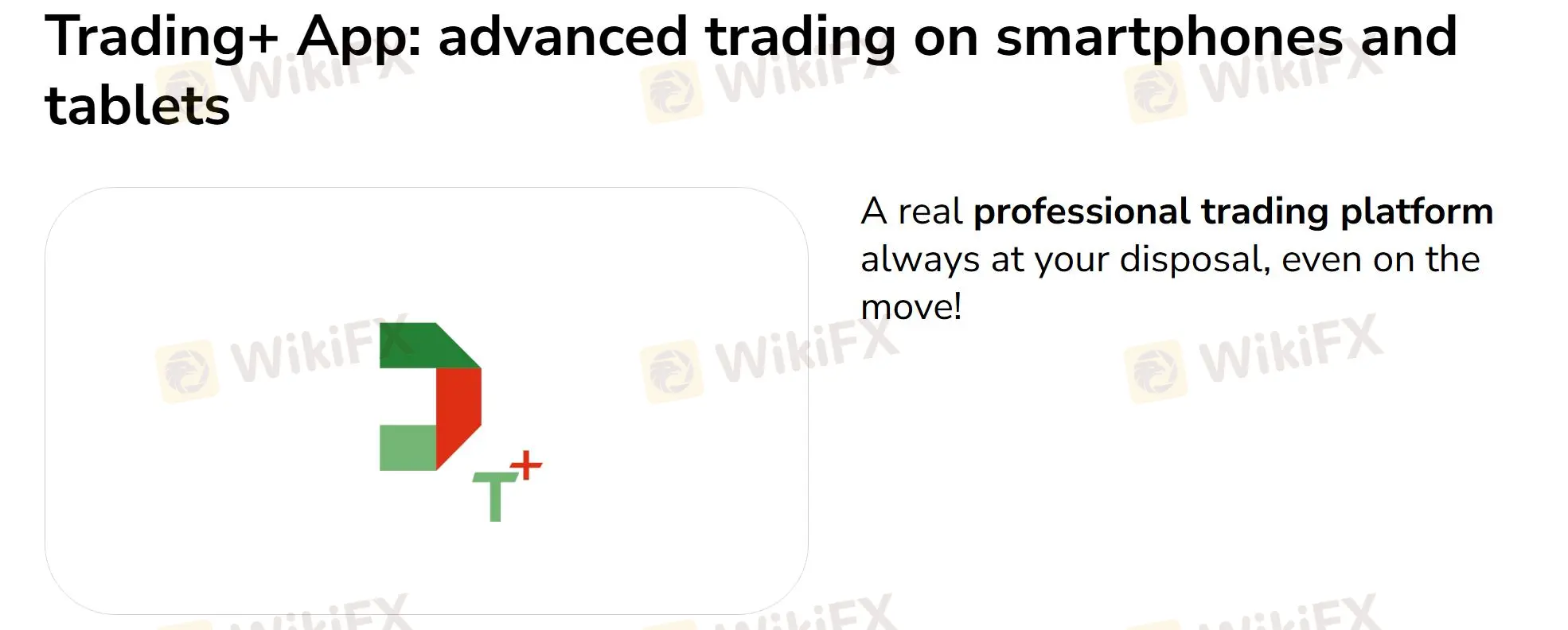 Nền tảng giao dịch Nền tảng giao dịch