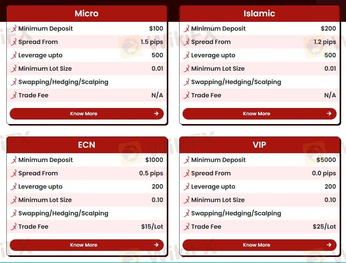 帳戶比較 帳戶比較