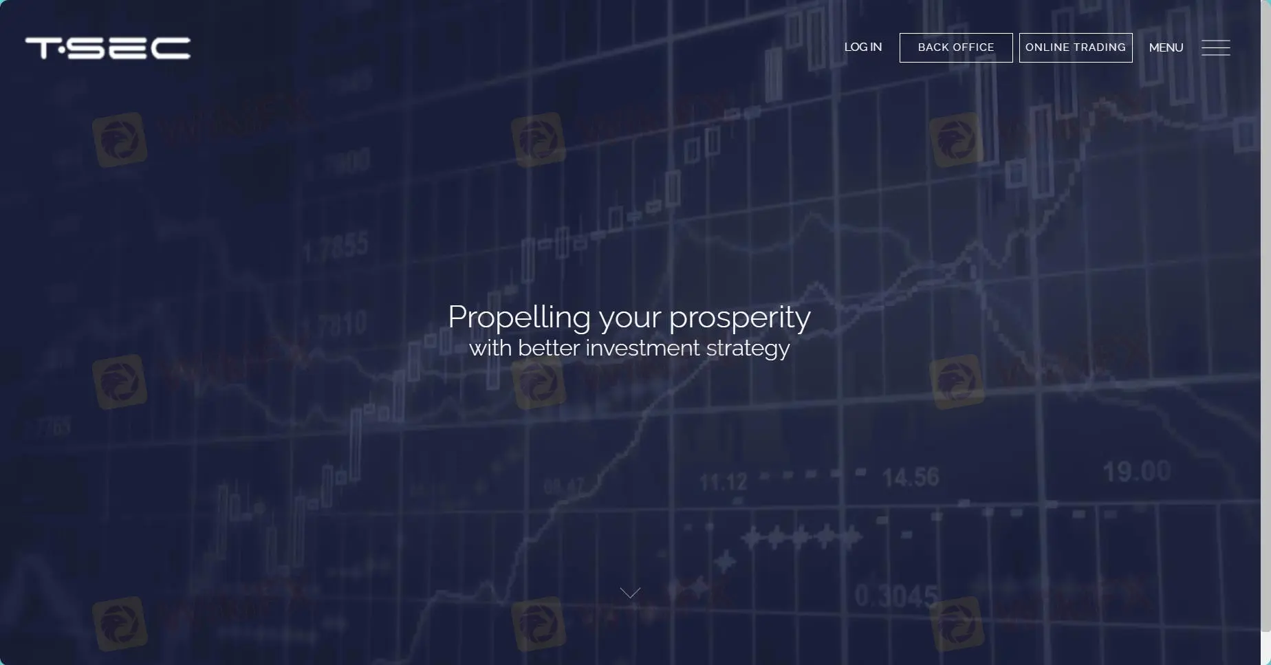 TSEC'ün ana sayfası