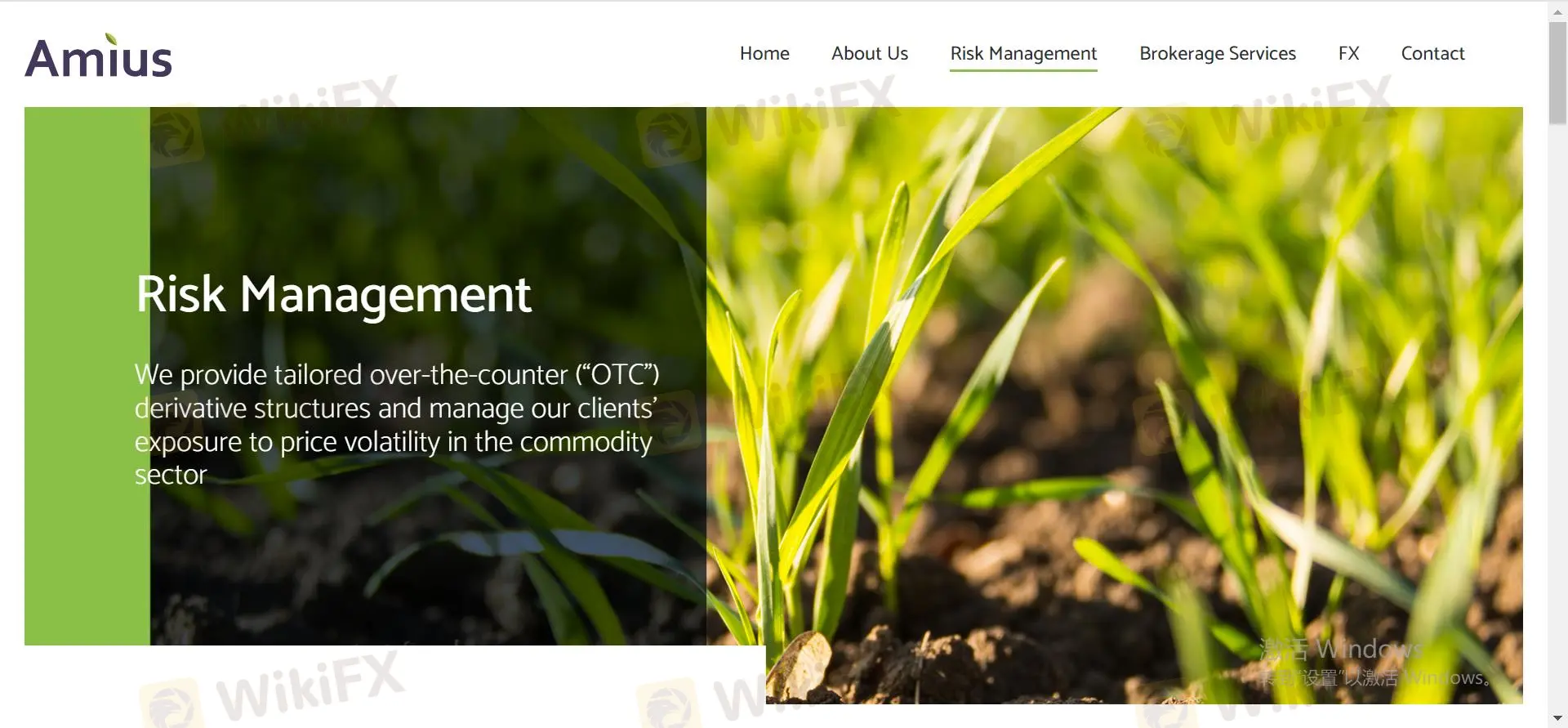 시장 기구 시장 기구