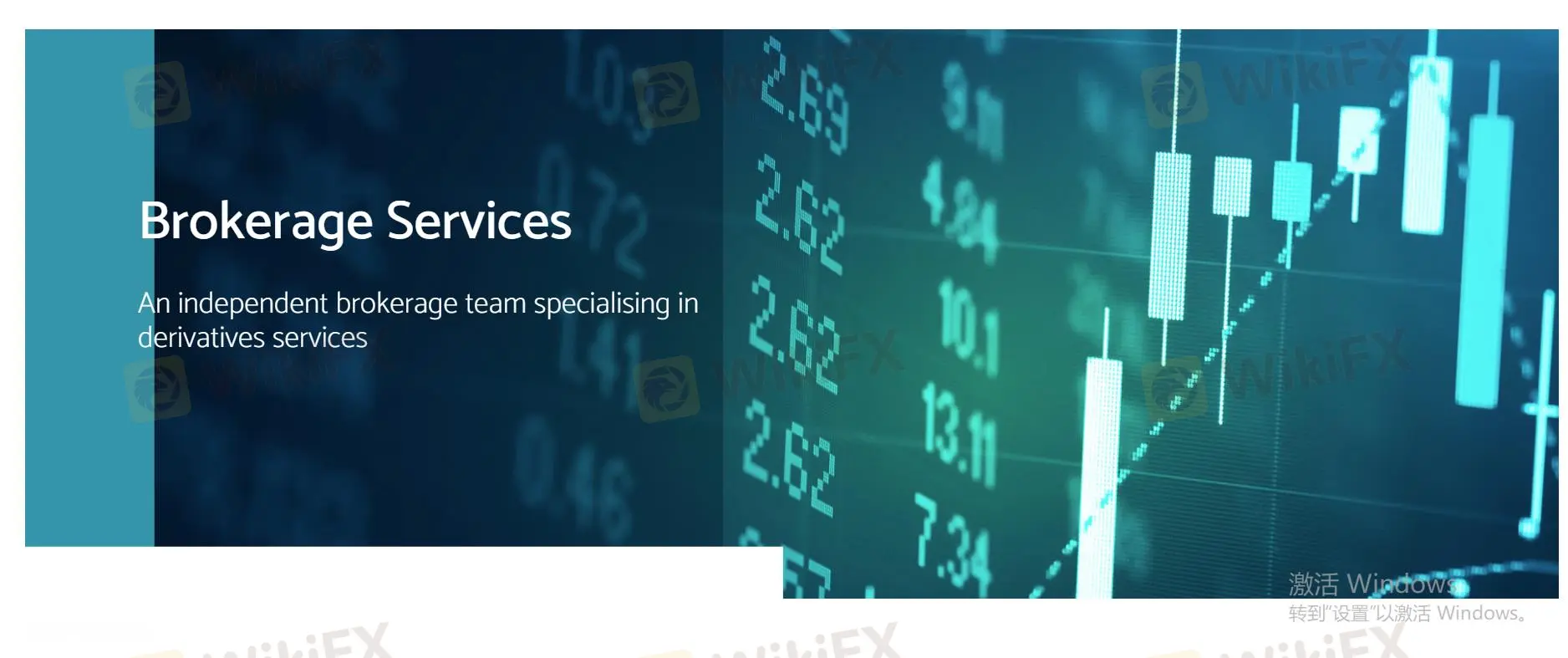 시장 기구 시장 기구