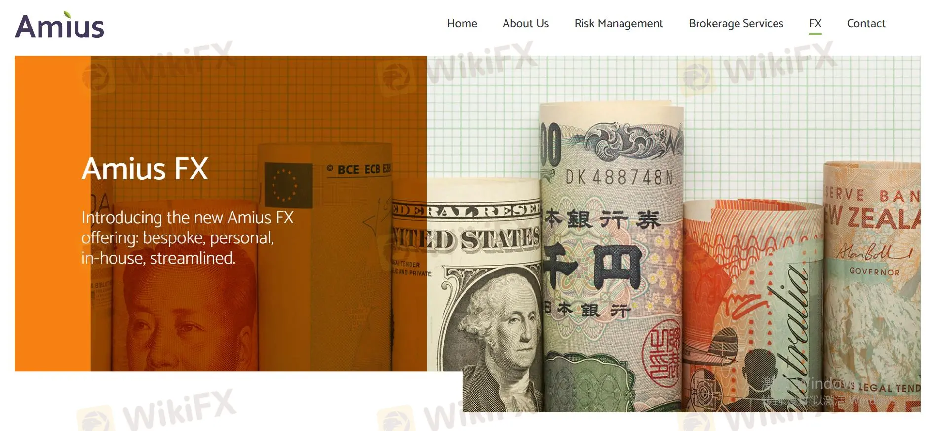 시장 기구 시장 기구