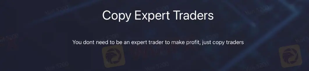 Copy Trading