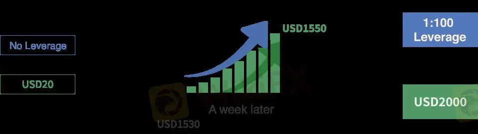 Leverage Leverage