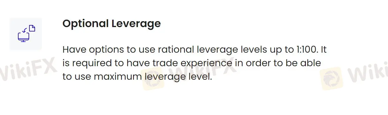 Leverage